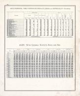 Statistics - Occupations, Ages - Page 223, Illinois State Atlas 1876